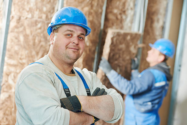 Best Attic Insulation Installation  in Corunna, MI